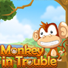 monkey-in-trouble