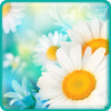 wild-daisies-find-numbers