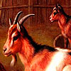red-goats-in-the-woods-puzzle